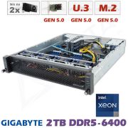 D12x-M2-SP-2xGPU